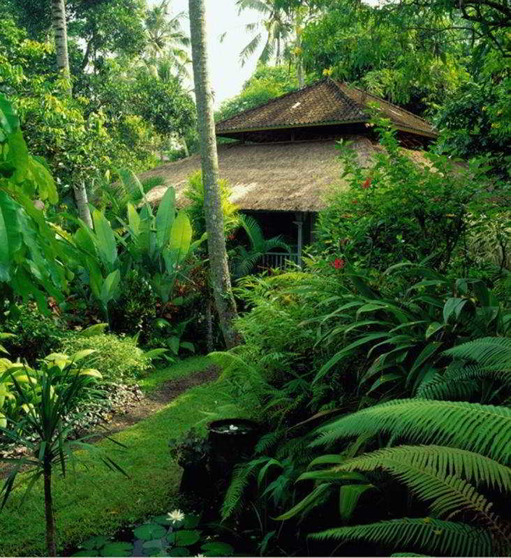 Hotel Taman Bebek Bali Ubud Esterno foto