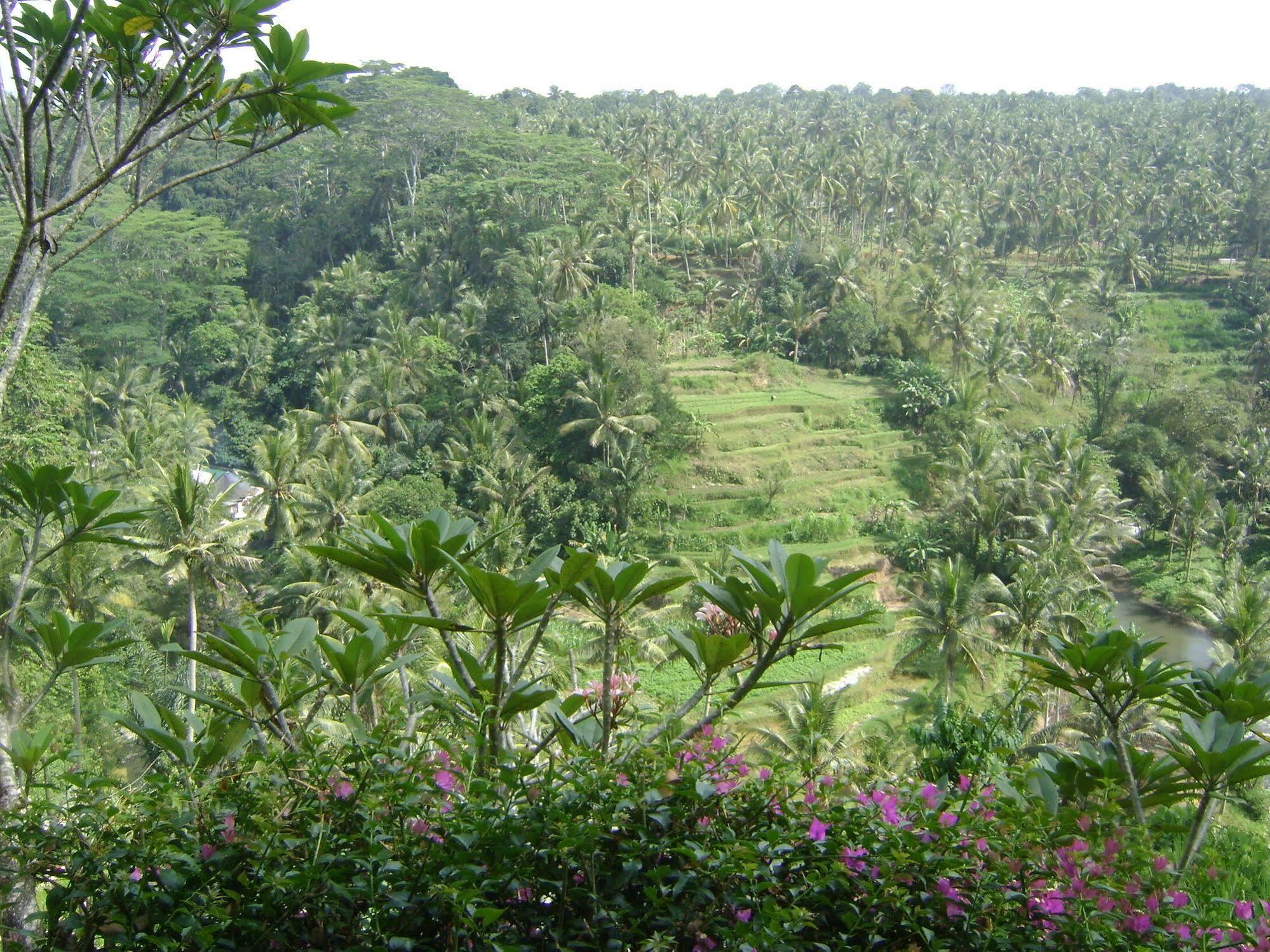 Hotel Taman Bebek Bali Ubud Esterno foto