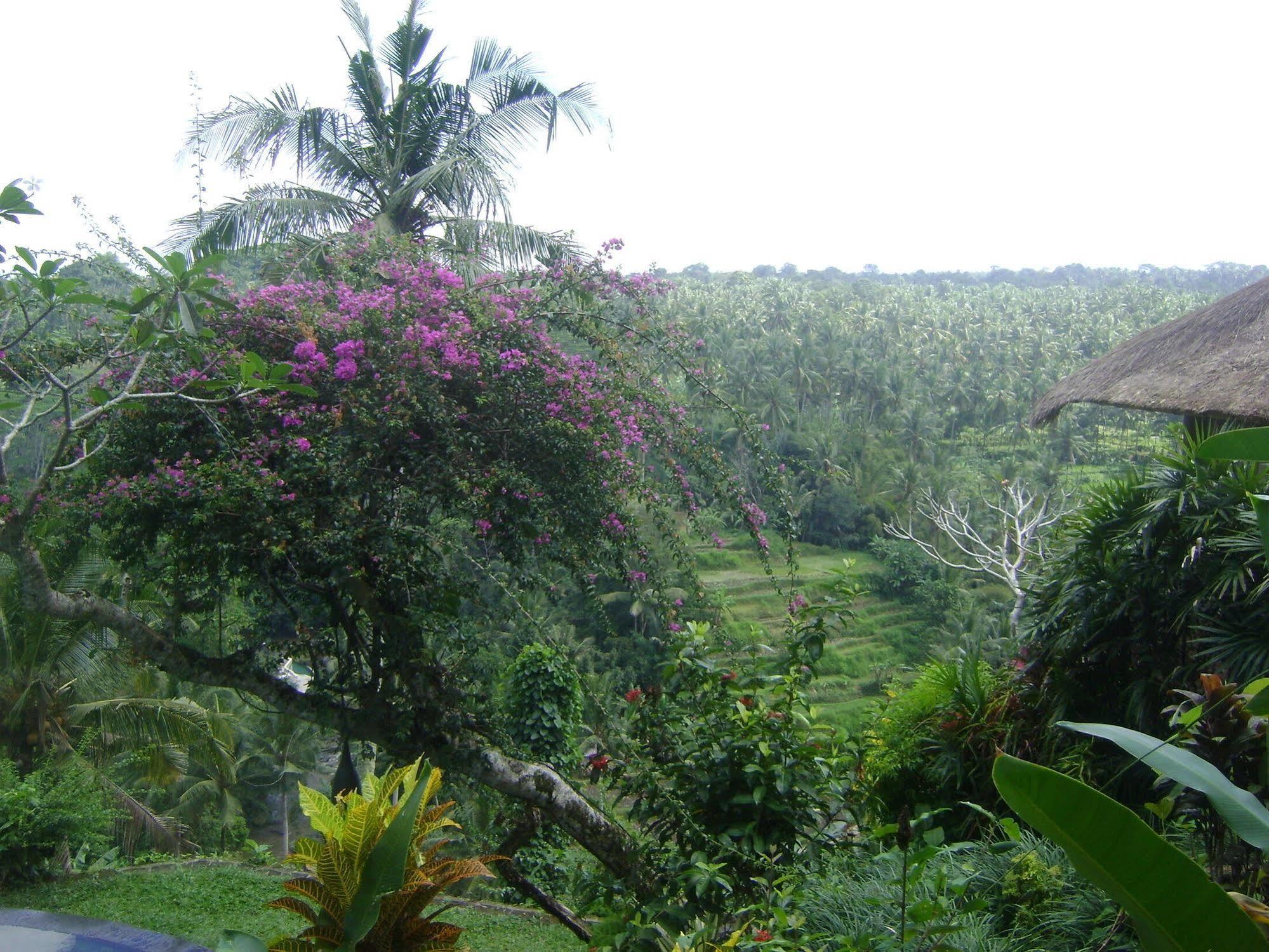 Hotel Taman Bebek Bali Ubud Esterno foto