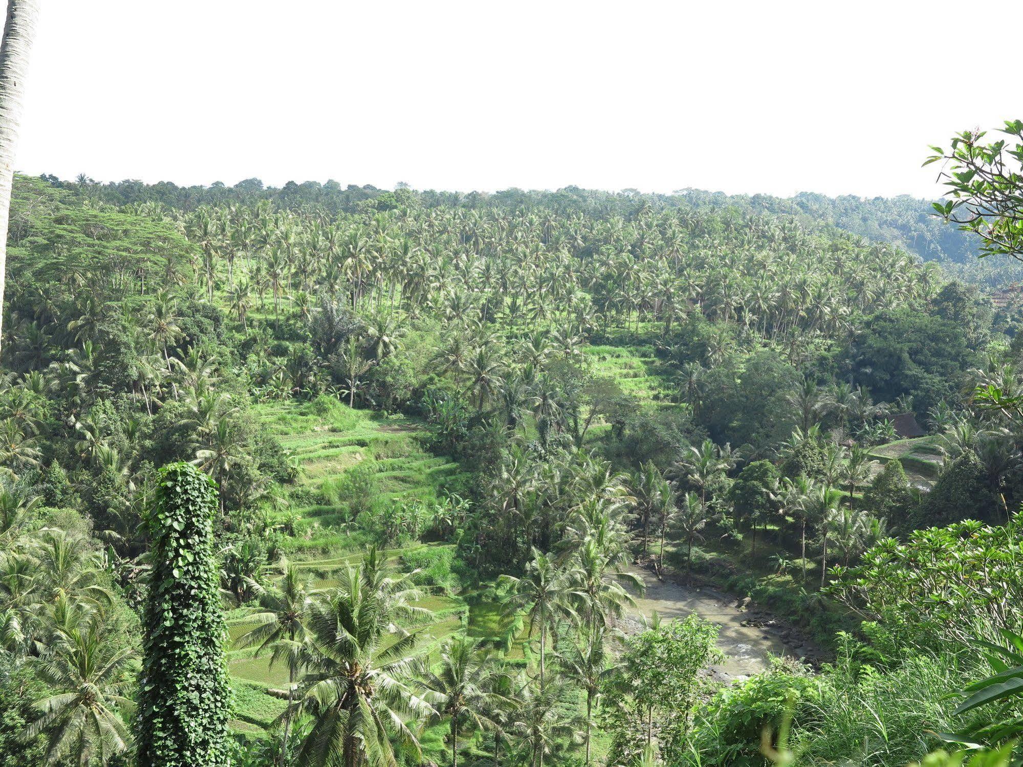 Hotel Taman Bebek Bali Ubud Esterno foto