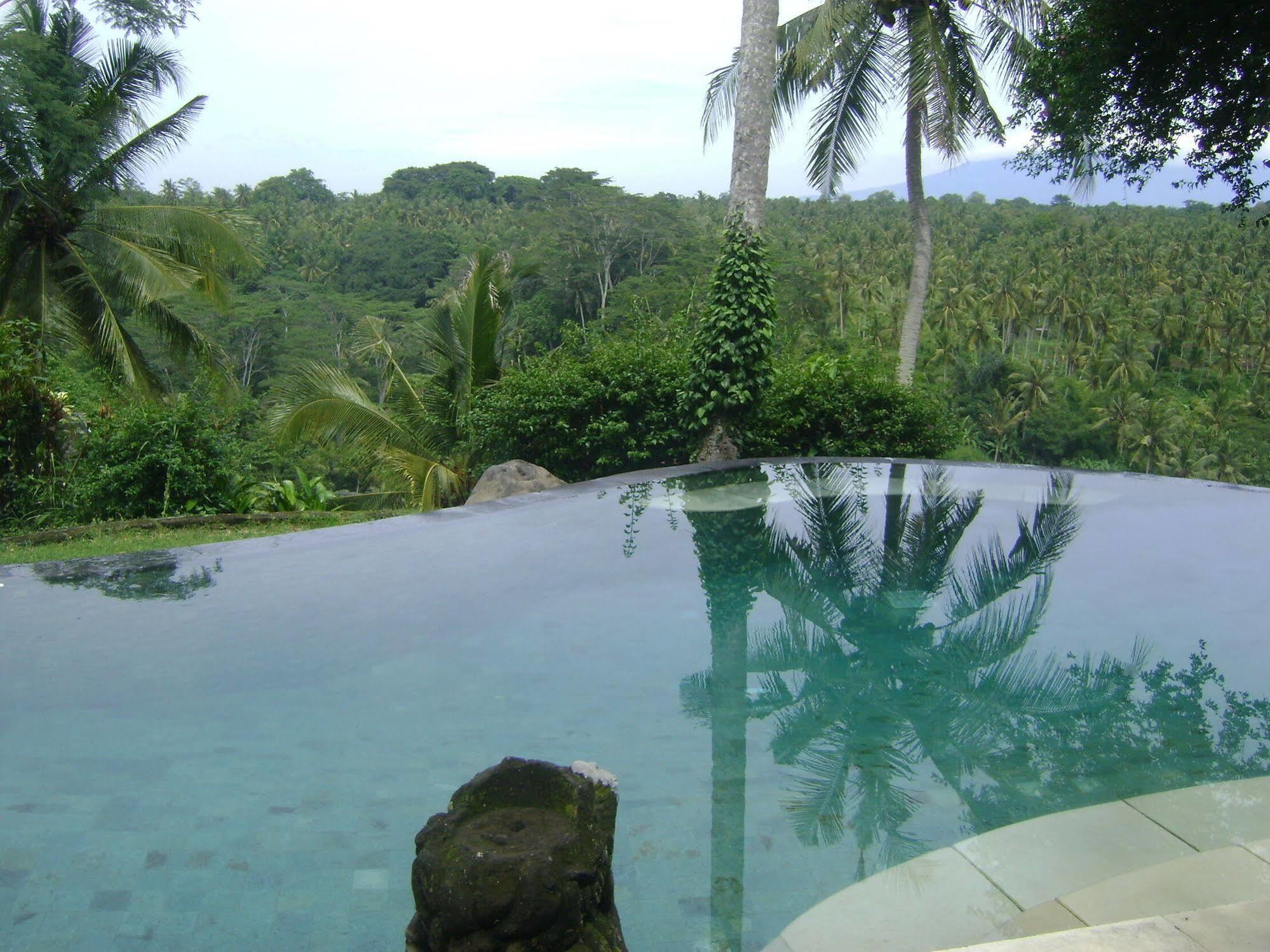 Hotel Taman Bebek Bali Ubud Esterno foto